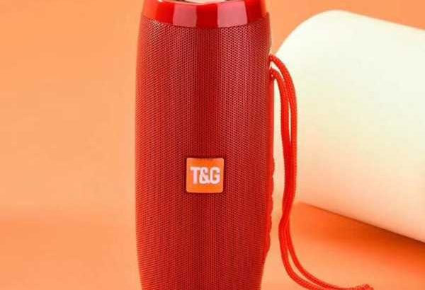 T&G speaker