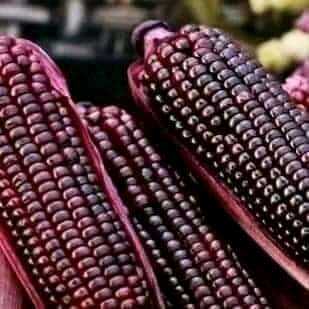 Daniel Farm Products