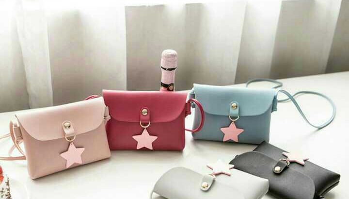 Ladies bag