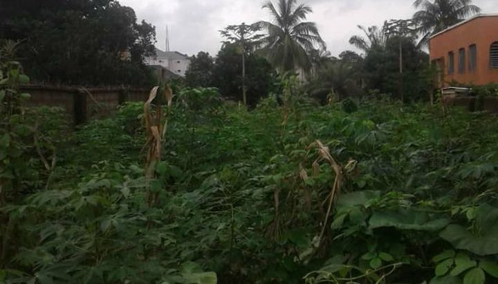 3 plots of land for sale in Awka, Anambra state