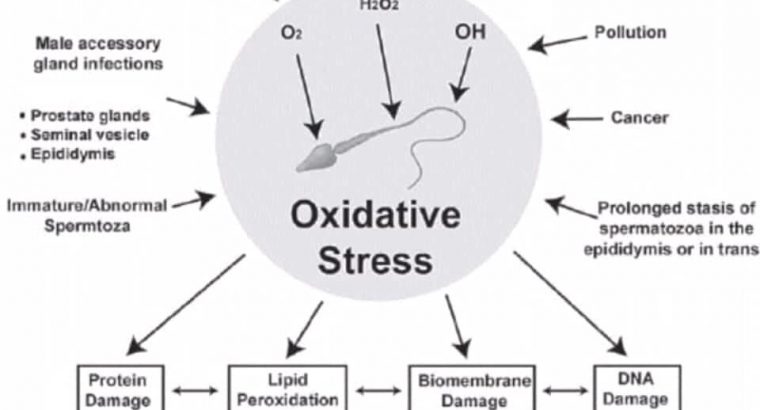 STRUGGLING WITH INFERTILITY