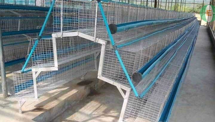 DYNAMIC BATTERY CAGE