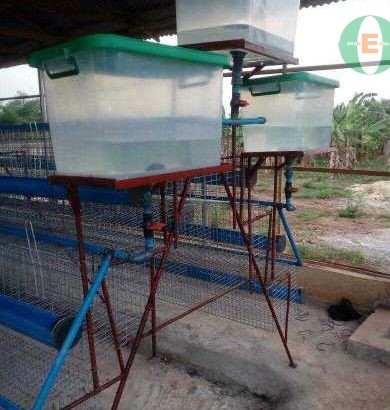 DYNAMIC BATTERY CAGE