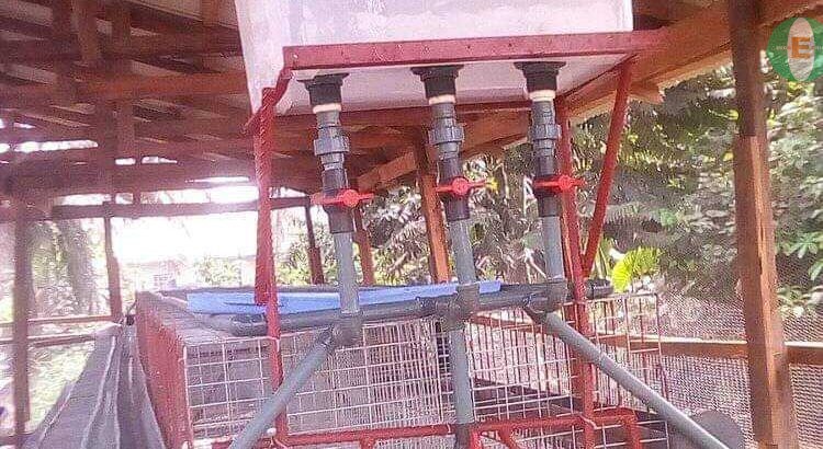 DYNAMIC BATTERY CAGE