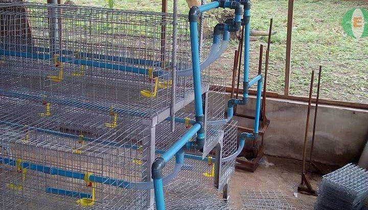 DYNAMIC BATTERY CAGE