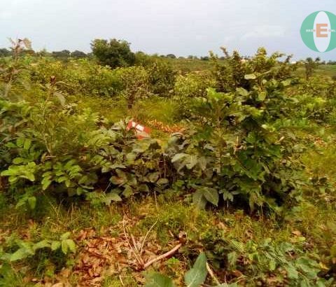 Residential plot for sale