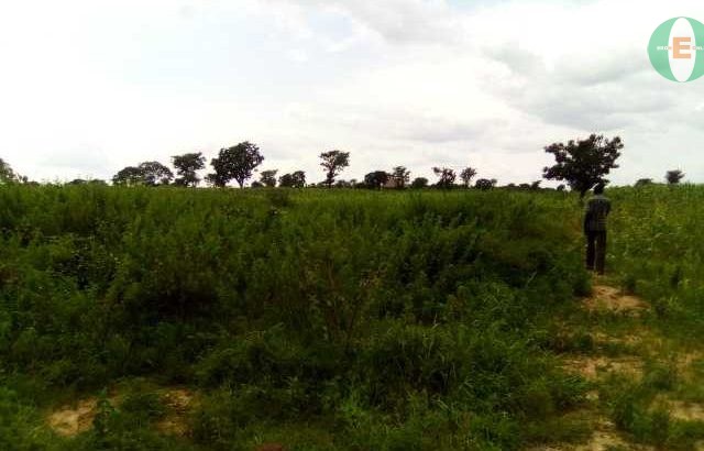 Residential plot for sale