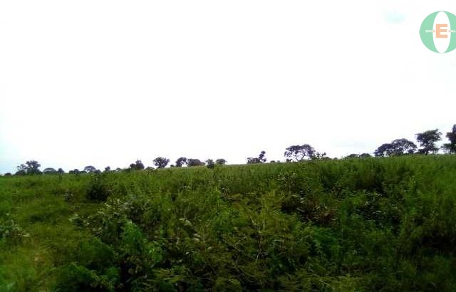 Residential plot for sale