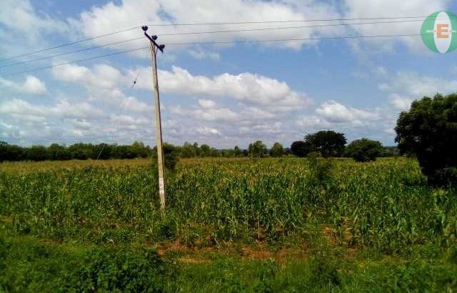 Agricultural Land for Sale