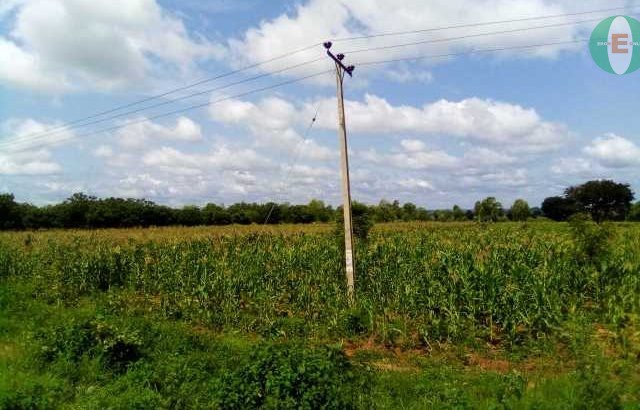 Agricultural Land for Sale