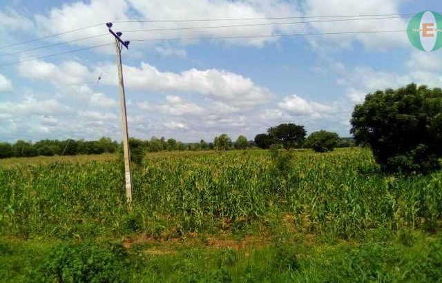 Agricultural Land for Sale