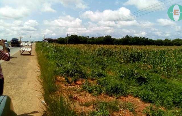 Agricultural Land for Sale