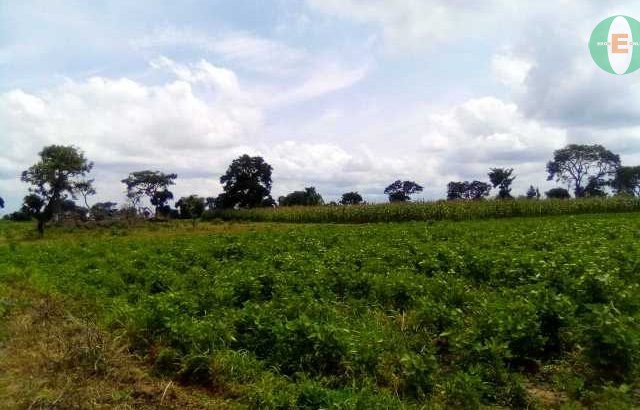 Agricultural Land for Sale