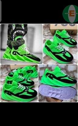 Footwear  shoe are palm