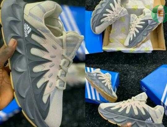 Footwear  shoe are palm