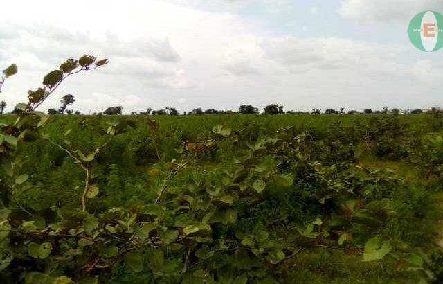 Plot of Land For Sale