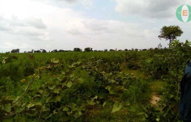 Plot of Land For Sale