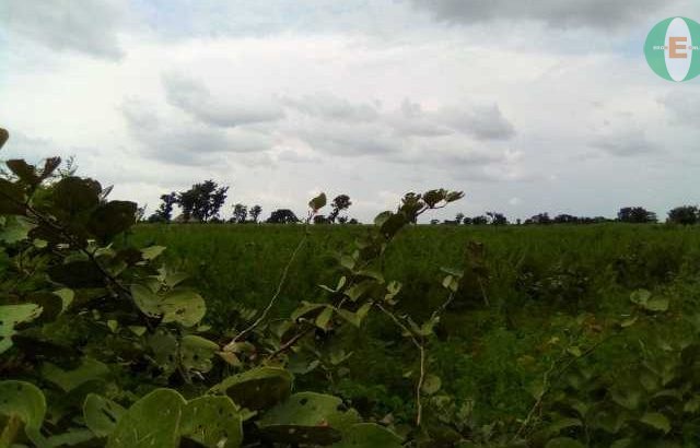 Plot of Land For Sale