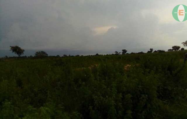 Plot of Land For Sale