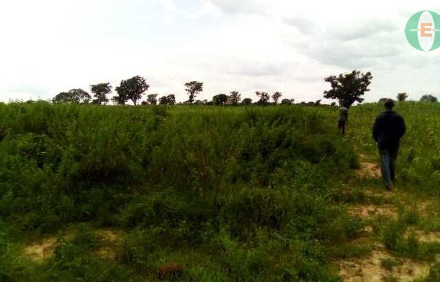 Plot of Land For Sale